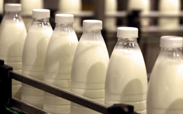 Производство молочной продукции с высокой прибылью