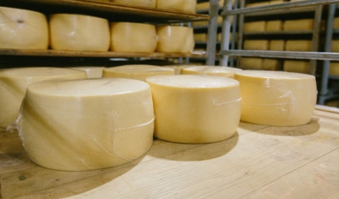 Сыроварня премиальных сыров с налаженным сбытом