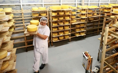 Производство твердого сыра с многолетней историей в Москве