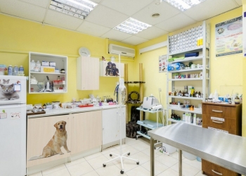 Ветеринарная клиника на Бауманской