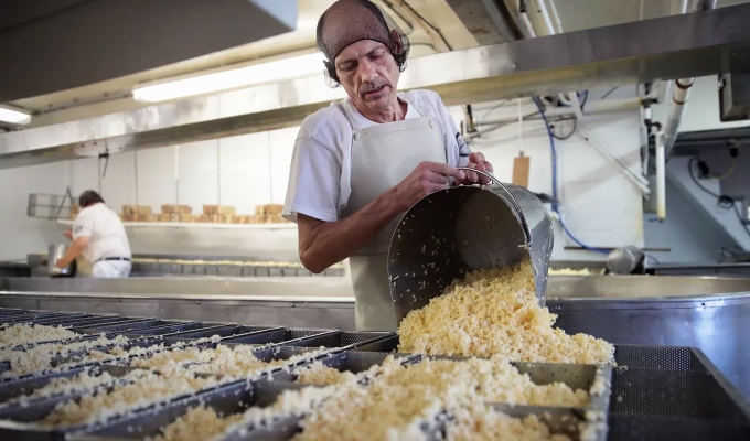 Производство твердого сыра с многолетней историей в Москве
