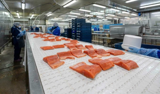 Рыбное производство с налаженной доставкой и высоким спросом