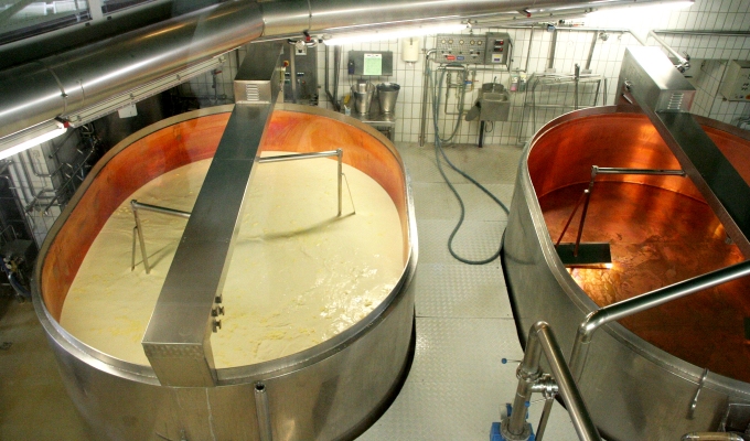 Производство твердого сыра с постоянным рынком сбыта