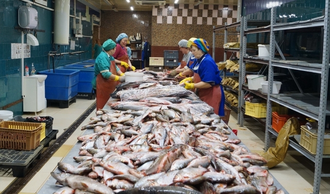 Прибыльное рыбное производство с удобным местоположением