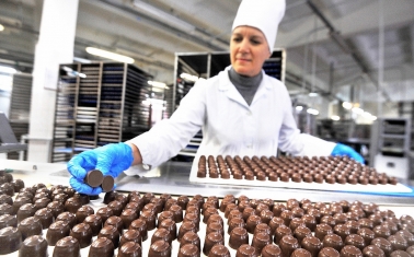 Действующая шоколадная фабрика с базой клиентов
