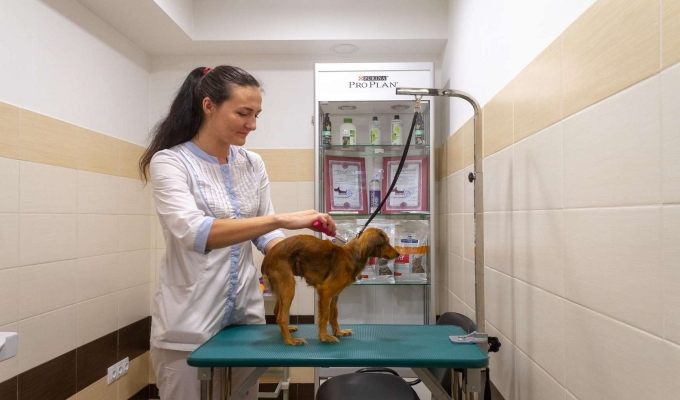 Современная ветеринарная клиника в удобной локации
