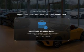 Прибыльный автосалон с доходом 20 млн рублей в год