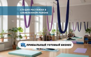 Сеть из 3 магазинов и онлайн-платформы в Санкт-Петербурге