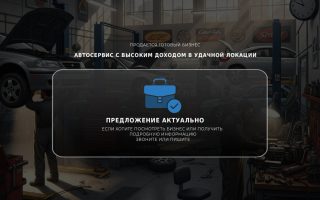 Автосервис с высоким доходом в удачной локации