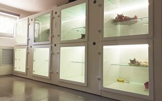 Зоогостиница рядом с метро