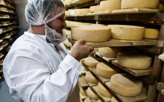 Сыроварня премиальных сыров с налаженным сбытом