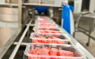 Мини-завод по переработке мяса с укомплектованным цехом