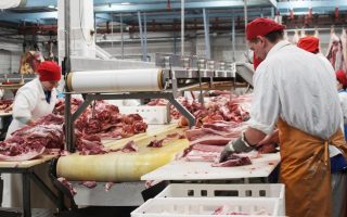 Завод по переработке мяса с полностью укомплектованным цехом