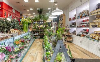 Студия суккулентов и декоративных растений