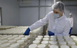 Сыроварня премиальных сыров с налаженным сбытом