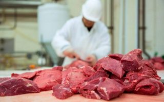 Мини-завод по переработке мяса с укомплектованным цехом