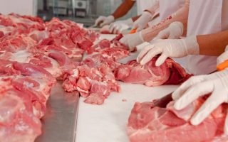 Мини-завод по переработке мяса с укомплектованным цехом
