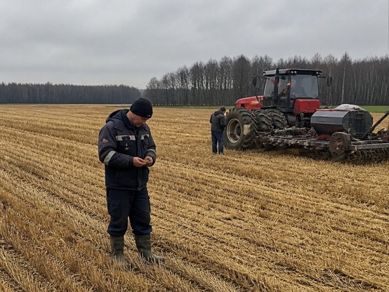 Продаю готовый бизнес. Сельхозземля. Прибыль 390к