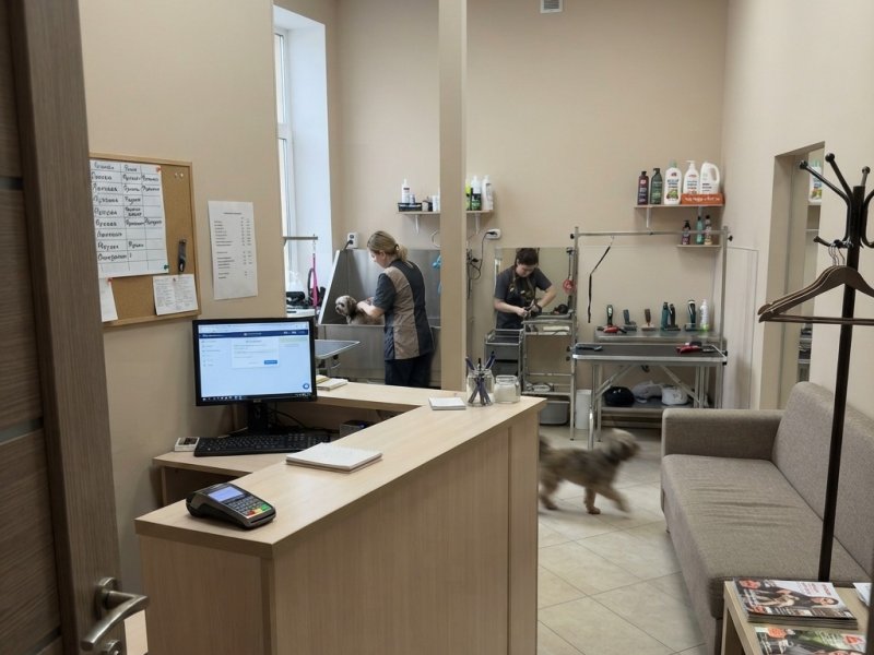 Специализированные услуги. Прибыль 150к